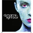 Load image into Gallery viewer, Vector Frame Master Dynamic Light Box Rectangle 03
