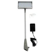 Lumiere LED External Light
