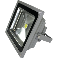 LED Flood Accent Light