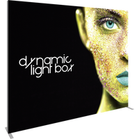 Vector Frame Master Dynamic Light Box Rectangle 04